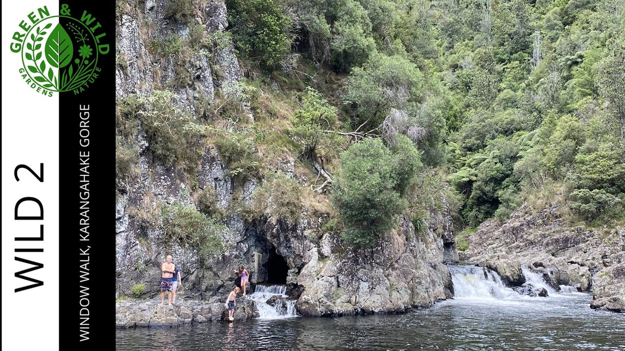 Exploring Karangahake Gorge window walk-A MUST-DO WALK in NEW ZEALAND!