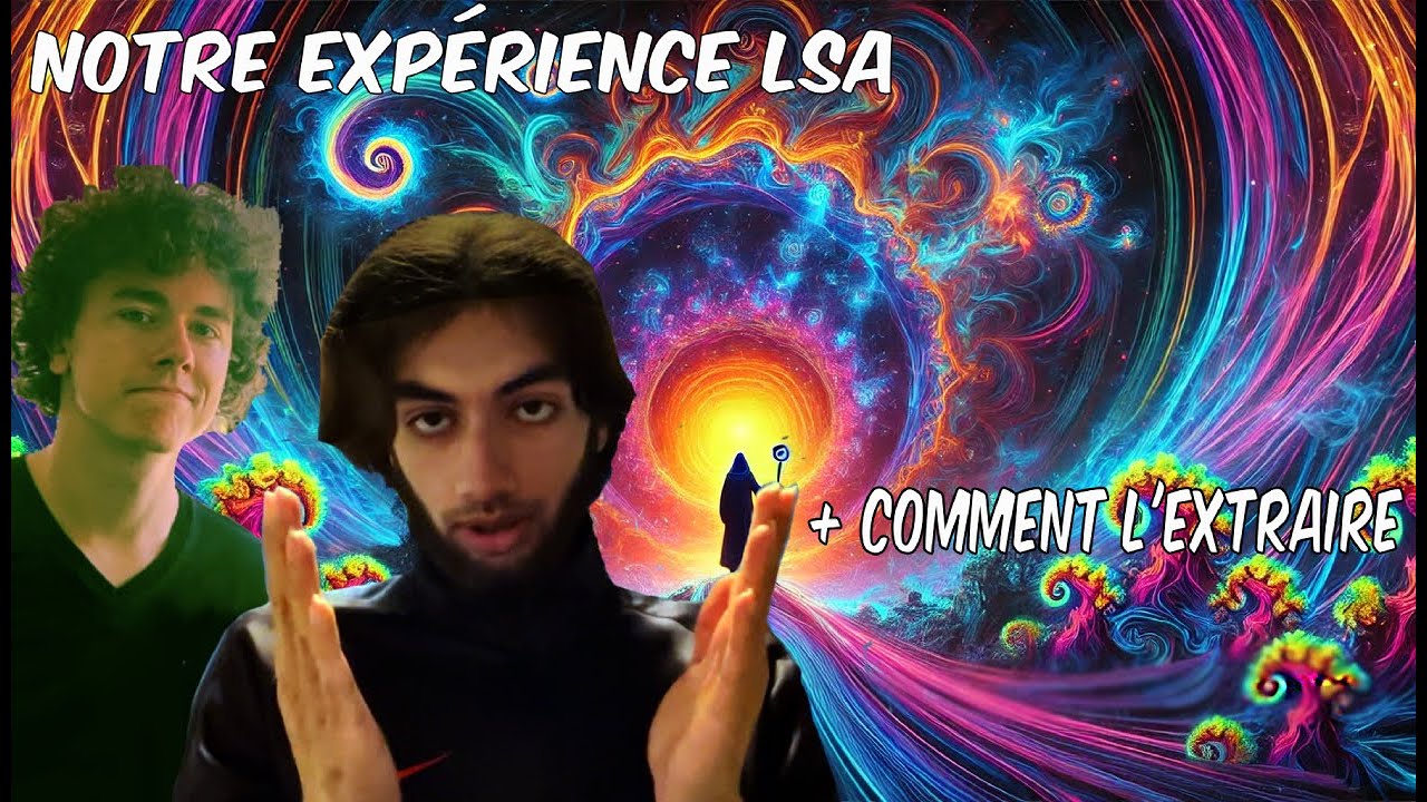 On a test&eacute; le LSA : version naturelle du LSD (Morning Glory)