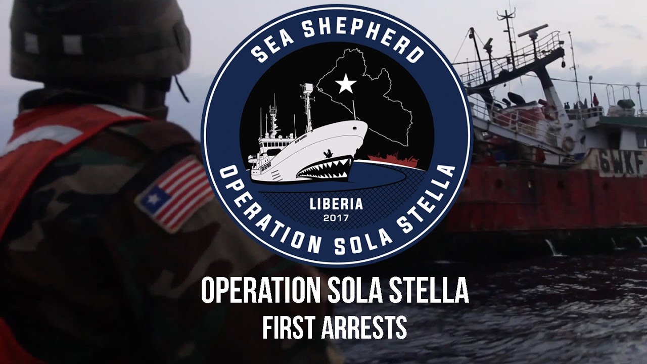 Operation Sola Stella:  First Arrests