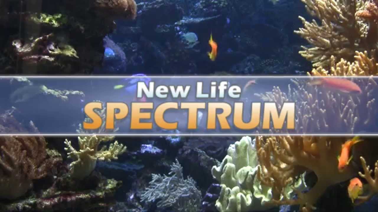 New Life Spectrum Aquarium Nutrition