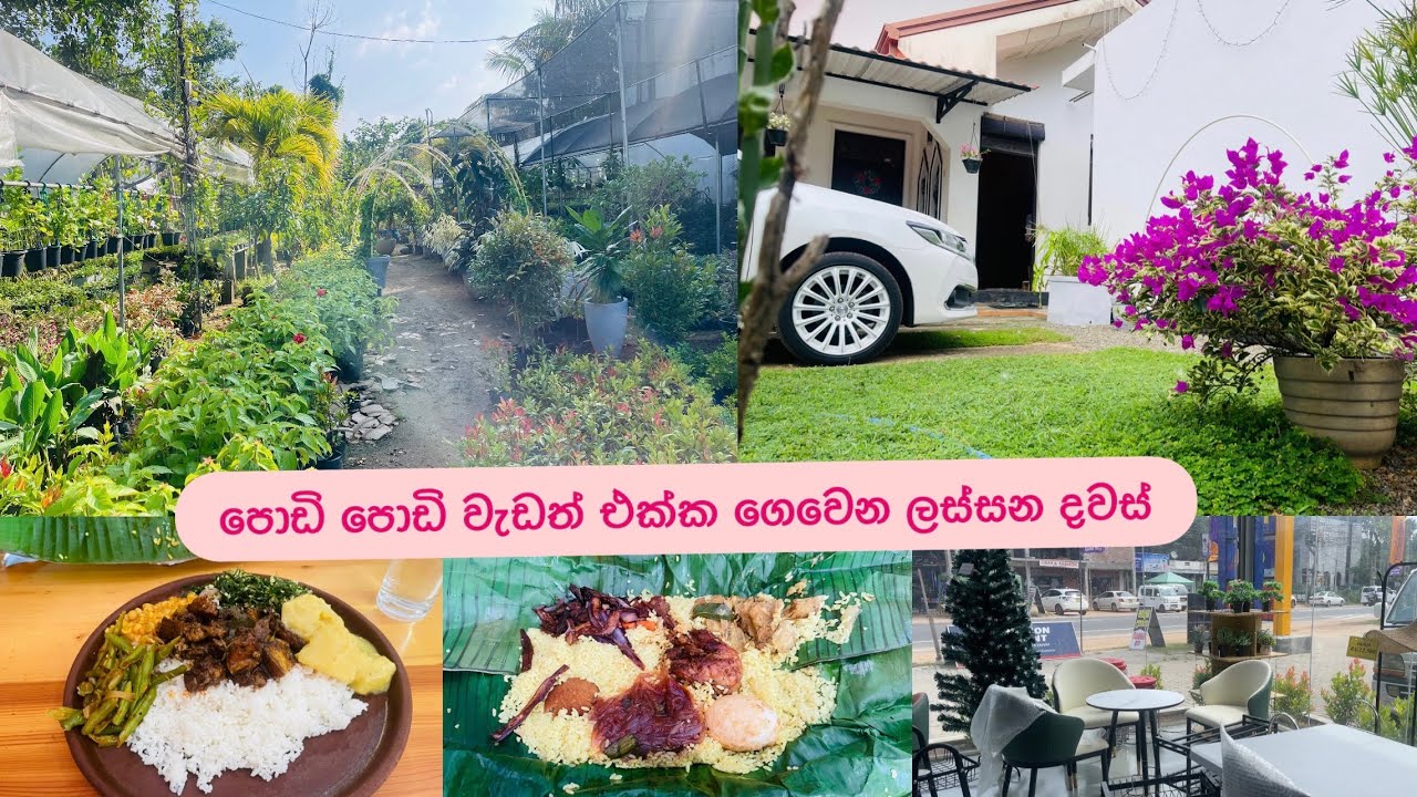 පොඩි පොඩි වැඩ එක්ක ගෙවෙන ලස්සන දවස්❤️