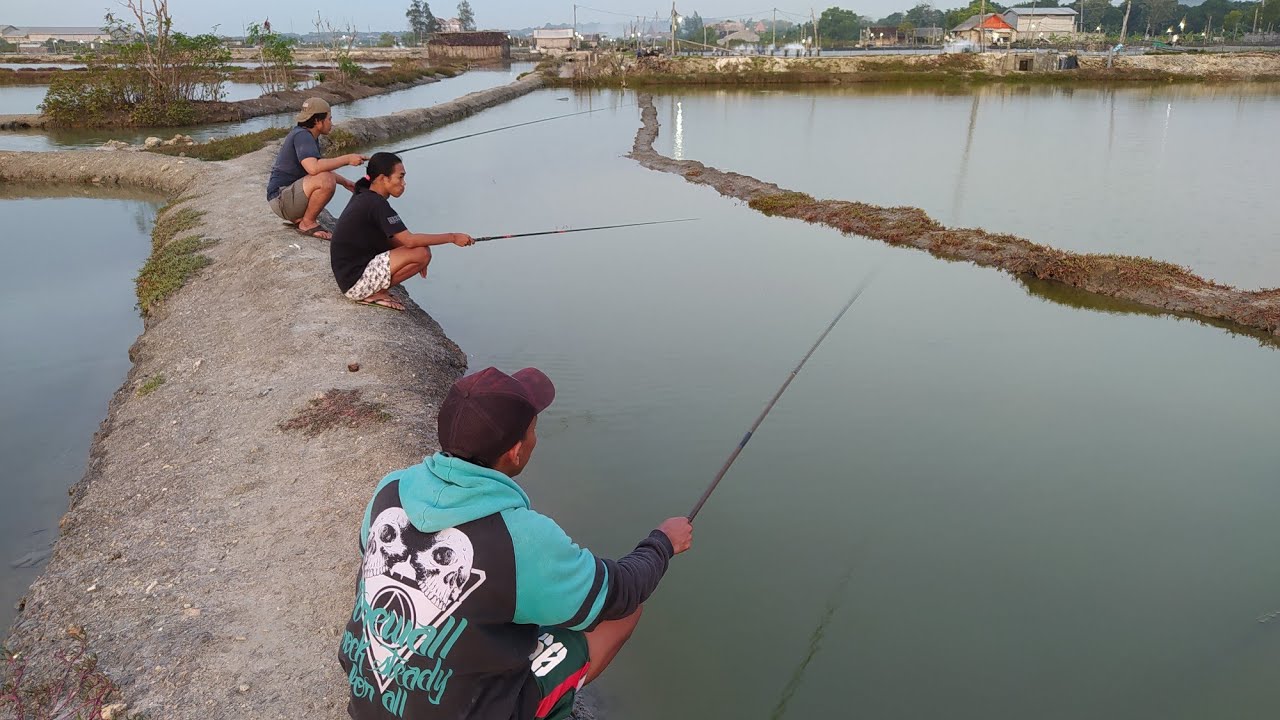mancing mujahir tambak