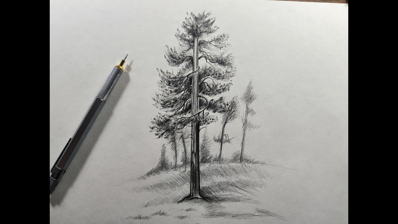 Cómo Dibujar un Árbol Realista a Lápiz Paso a Paso