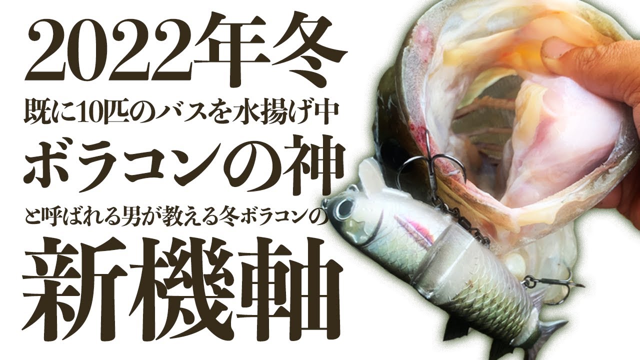 これぞ冬ボラコンの新機軸『霞オカッパリガイド・アユサンの今週の霞水系』