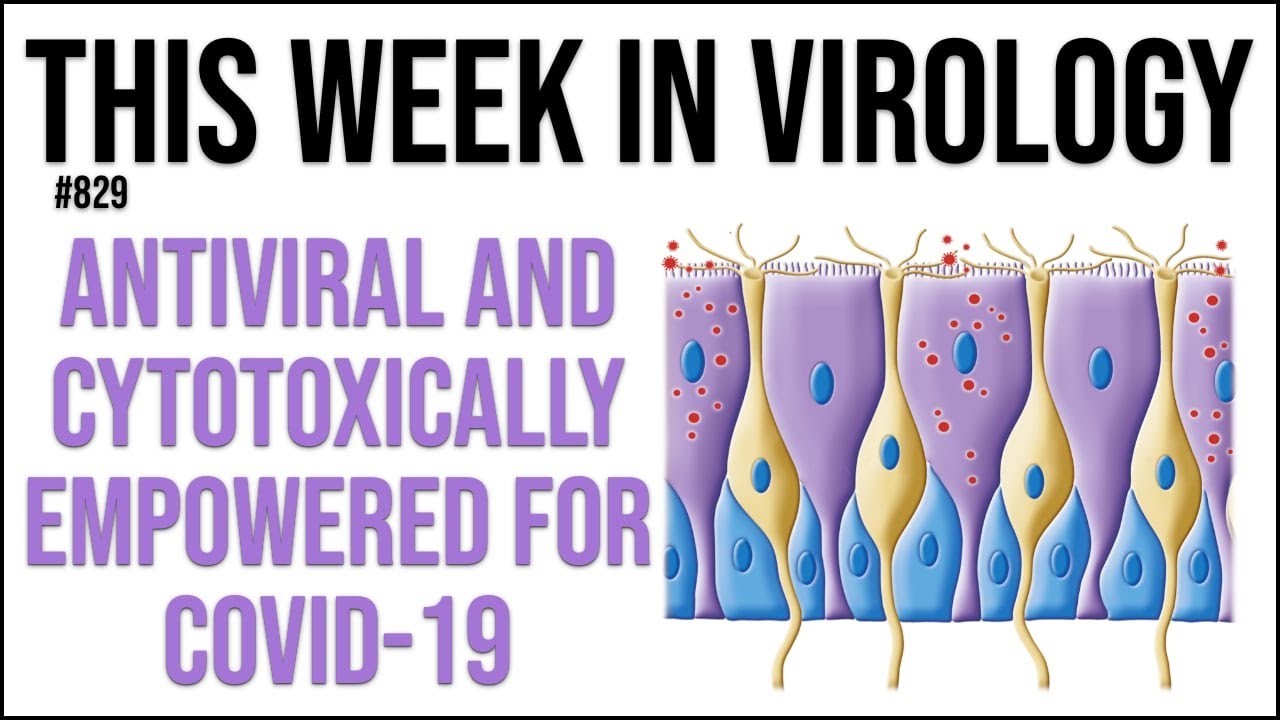 TWiV 829: Antiviral and cytotoxically empowered for COVID-19