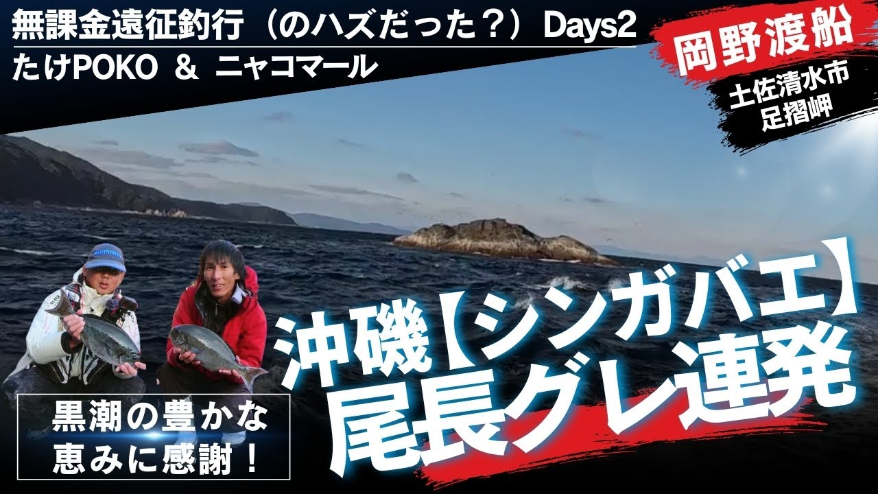 足摺岬の沖磯【シンガバエ】で良型【尾長グレ】が連発した激アツフィーバー釣行！