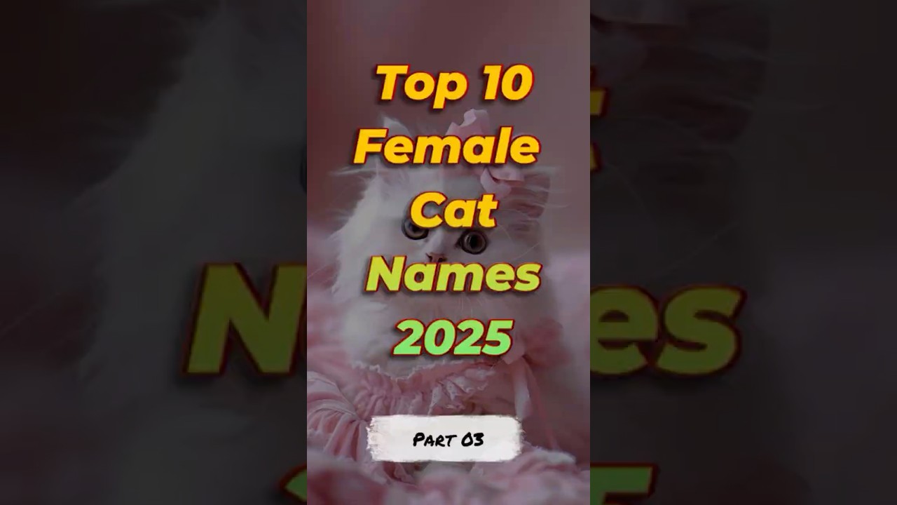 Top 10 Female Cat Names 2025 – Part 3 🐱✨ | Unique & Trendy Cat 