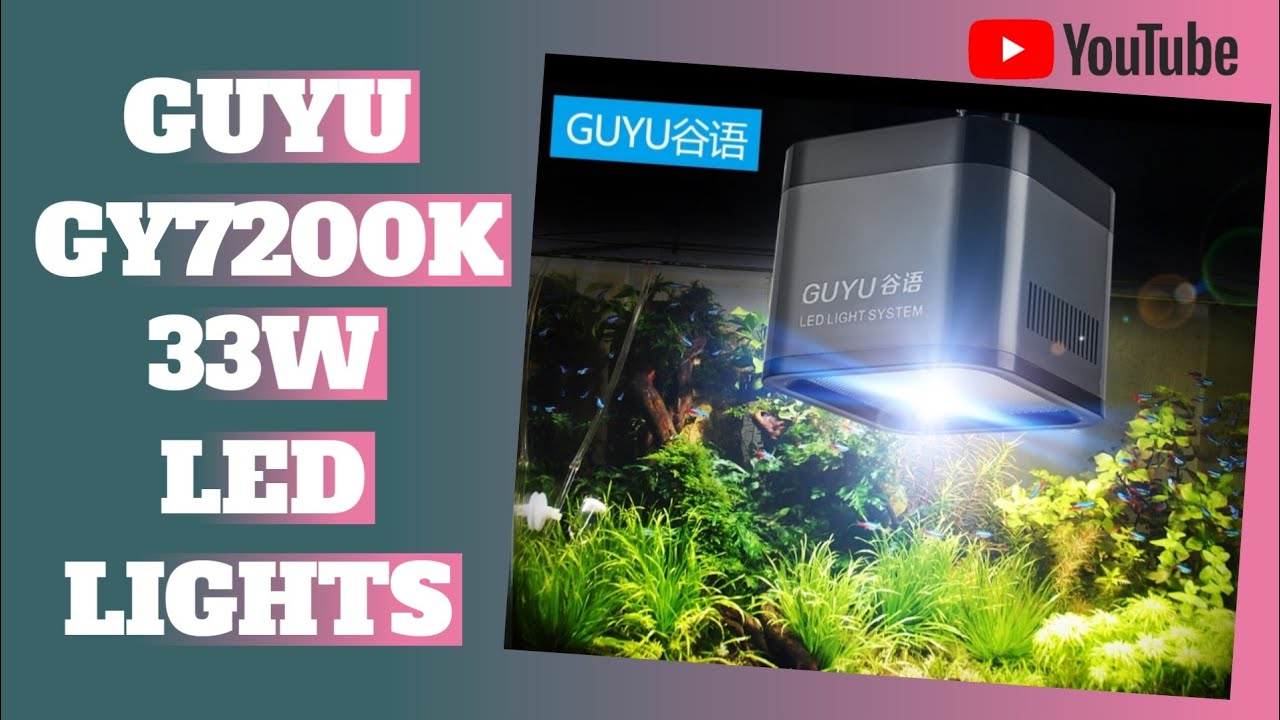 GUYU Valley GY7200K-33W LED Lights
