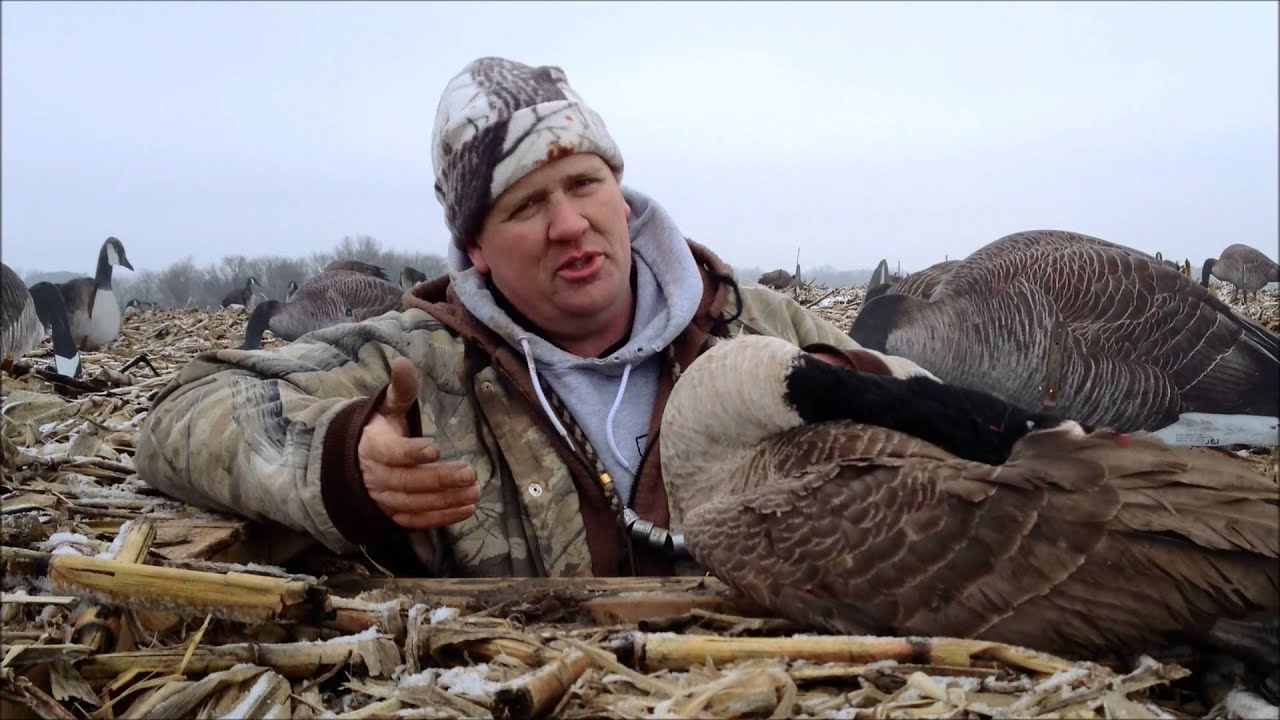 Late Season Goose Calling