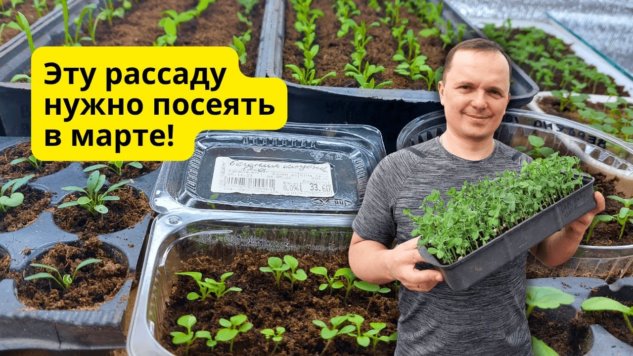 Что нужно обязательно посеять в МАРТЕ- наш проверенный список!