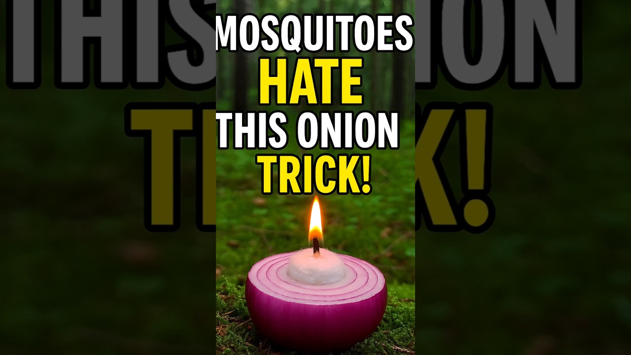 👉Mosquitoes Hate This Onion Trick🦟 #camping #survival #outdoors #bushcraft #lifehack