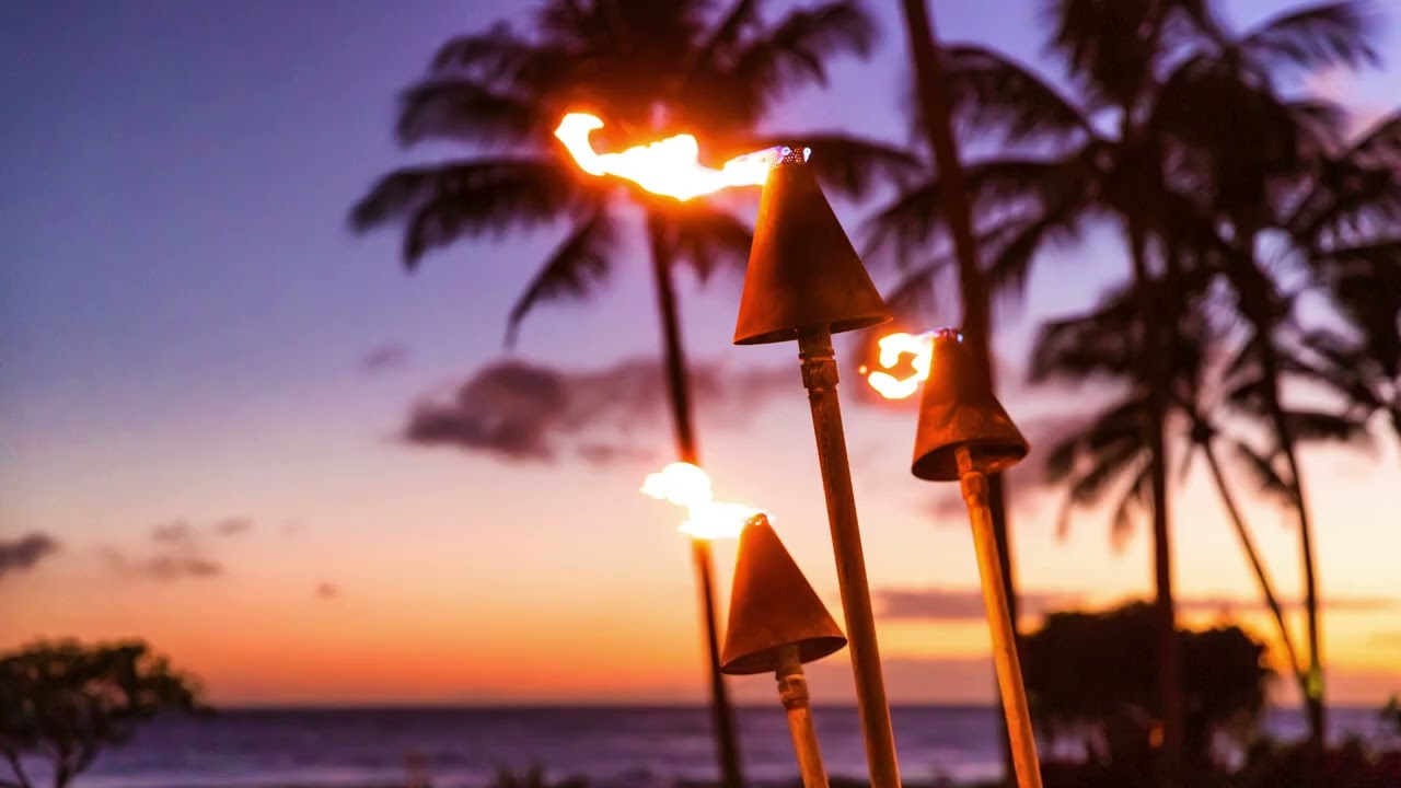 【南国のリゾート気分なrelax chill】 #tropicalchill　 #music   #relaxingmusic　0227