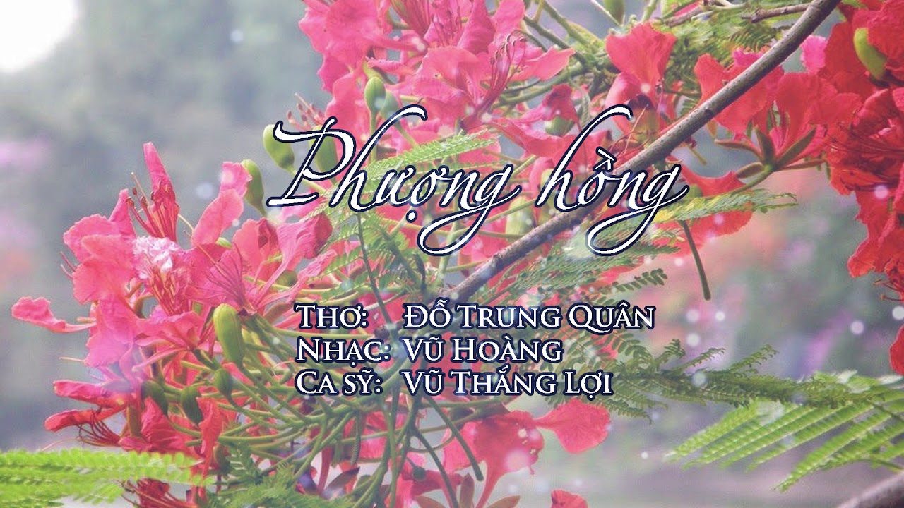 Phượng Hồng - Vũ Thắng Lợi