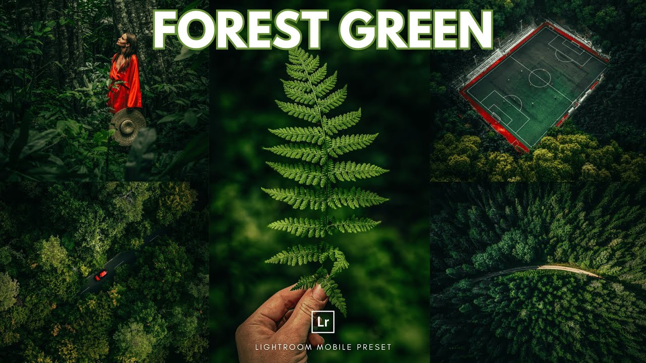 Forest Green Lightroom Preset | Free Preset Lightroom Mobile | Nature Presets | Dark Green Preset