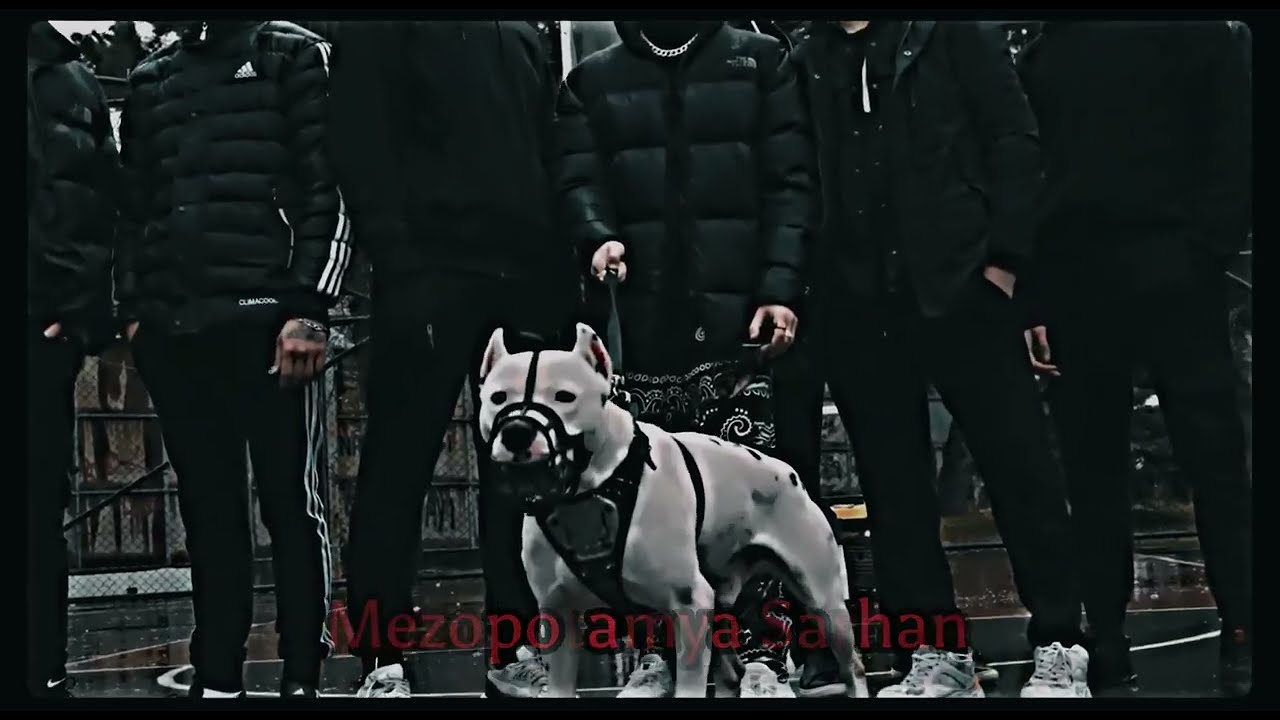Mahşer Sakat Bırakırım Diss LVBELC5 &Ccedil;akal El Musto Offical Video 2023