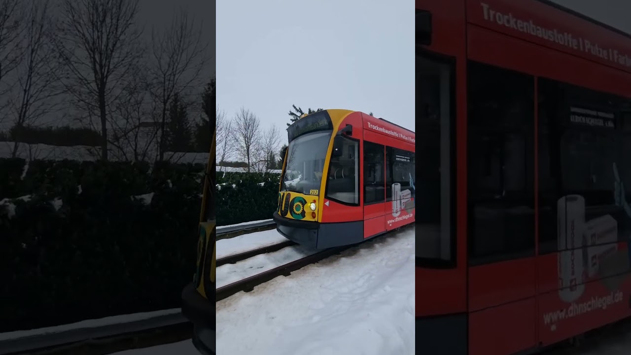 HARZ ! Der DUO in Niedersachswerfen - kann m. Diesel und Strom fahren