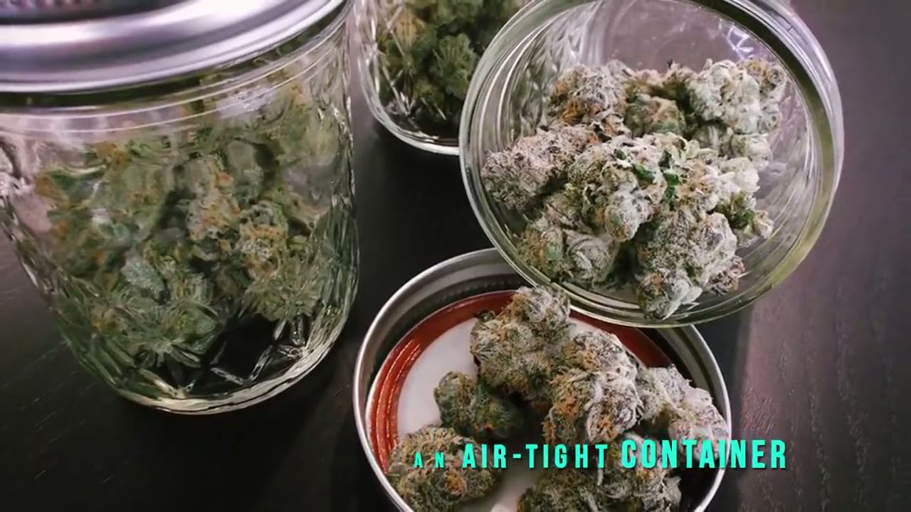3 Tips from Keeping Your Weed Stash From Drying Out
