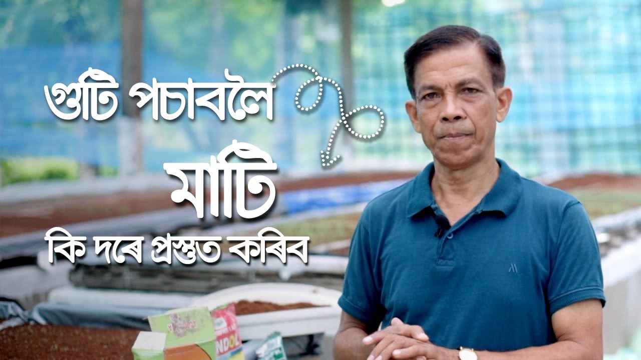 গুটি পচাবলৈ মাটি কি দৰে প্ৰস্তুত কৰিব || How to prepare soil for seed germination ||