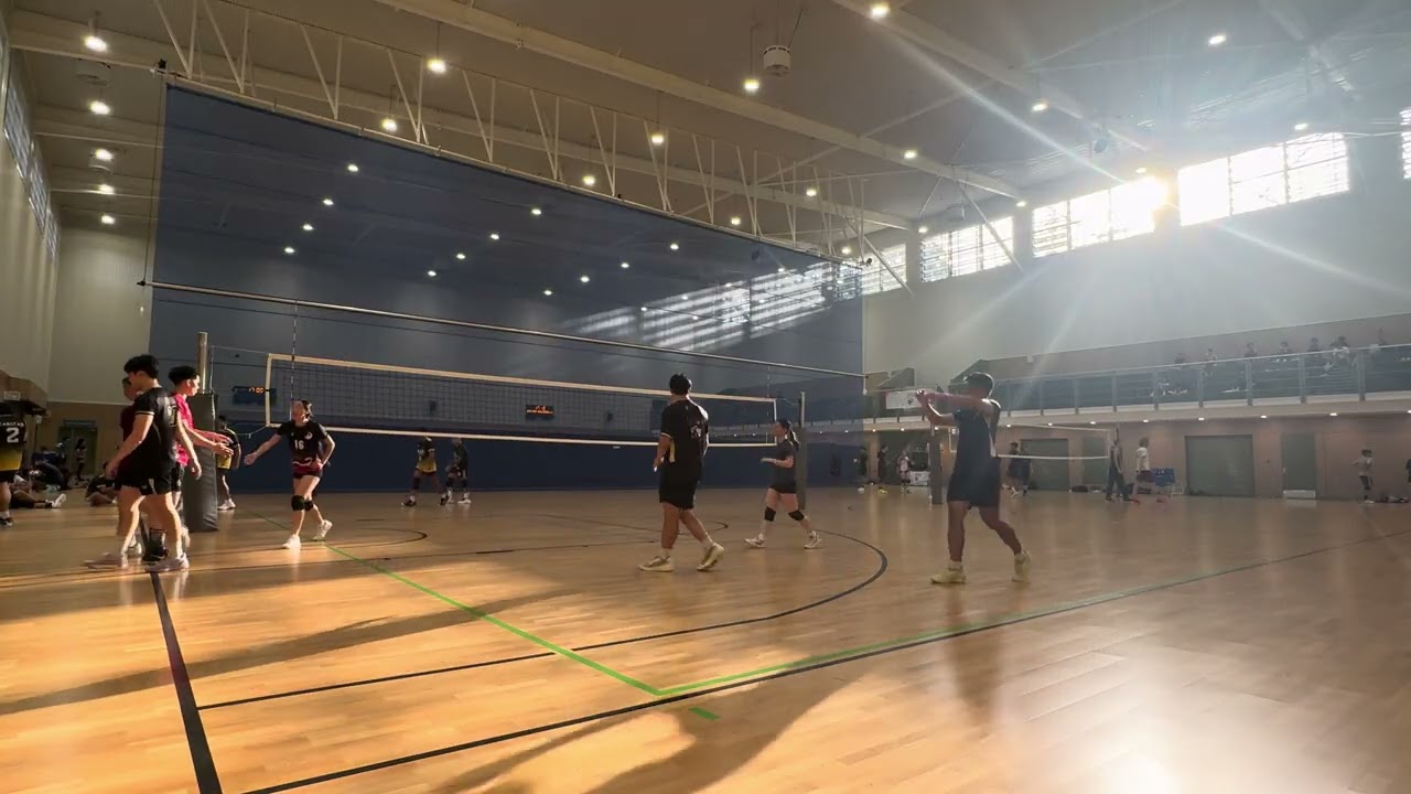 shibabies v blck vball