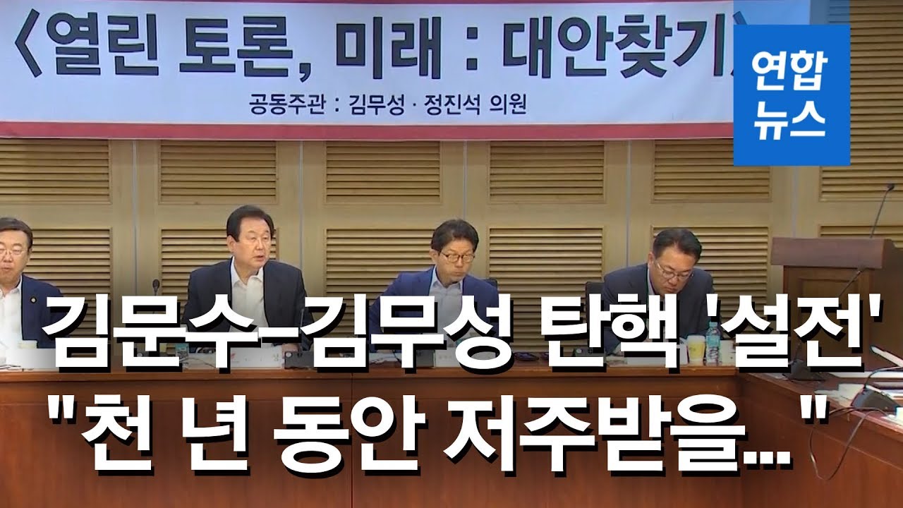 김문수, 김무성에 
