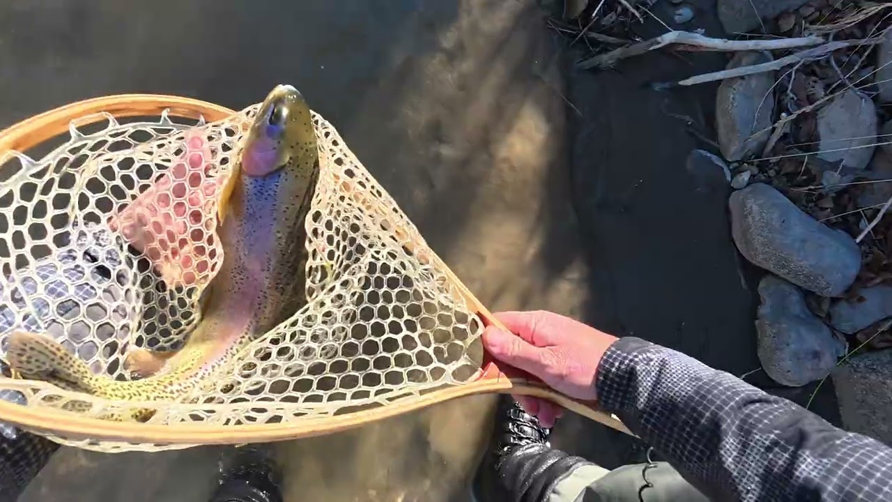 A Fun Day on the River!