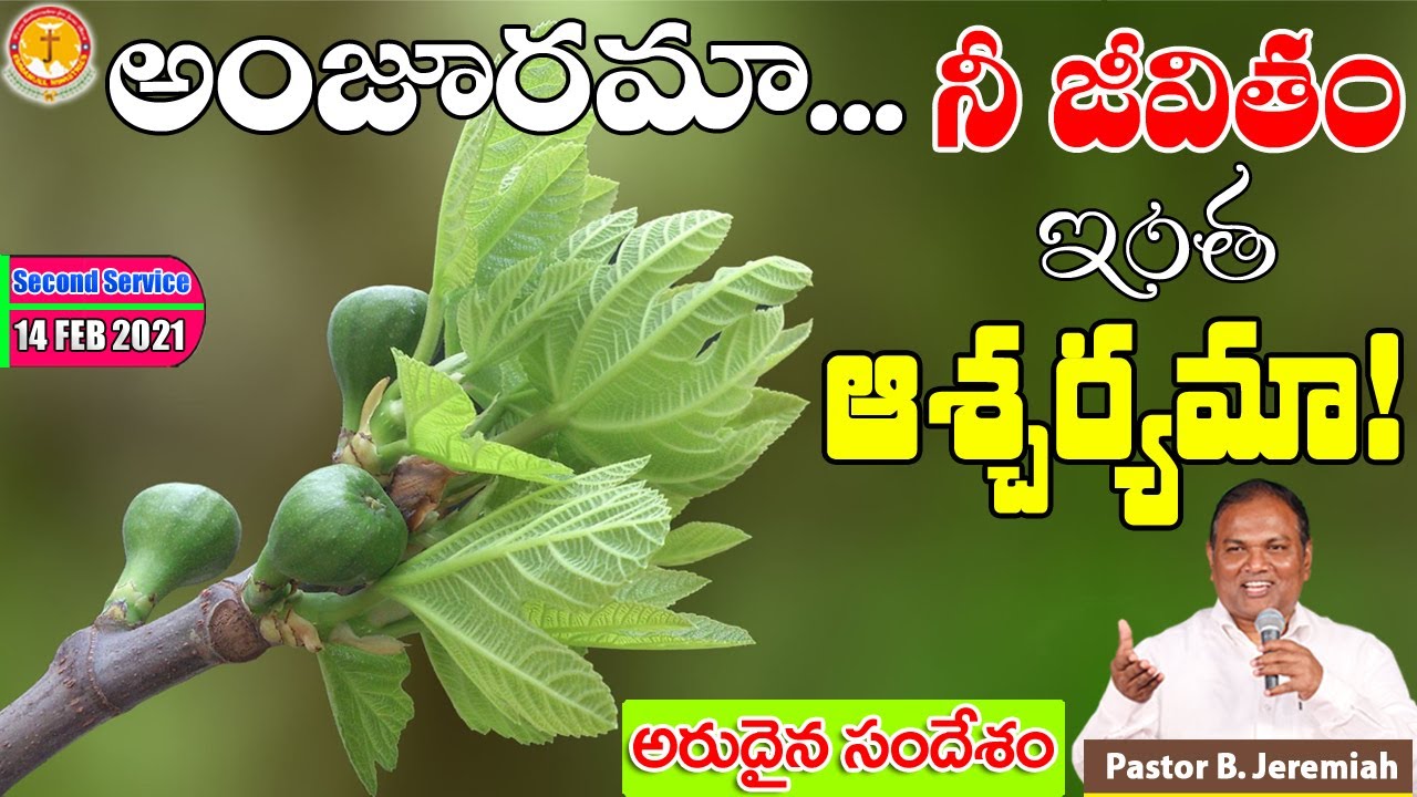 ఆహా ఆంజూరమా..నీలాంటి జీవితం నాకు కావాలి!|Pastor B.Jeremiah|#emmanuelministrieshyderabad|#figtree