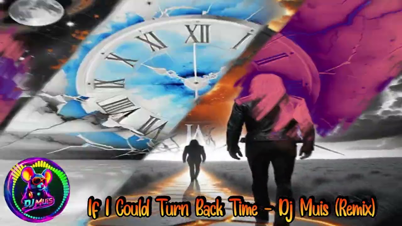 If I Could Turn Back Time - Dj Muis (Remix)