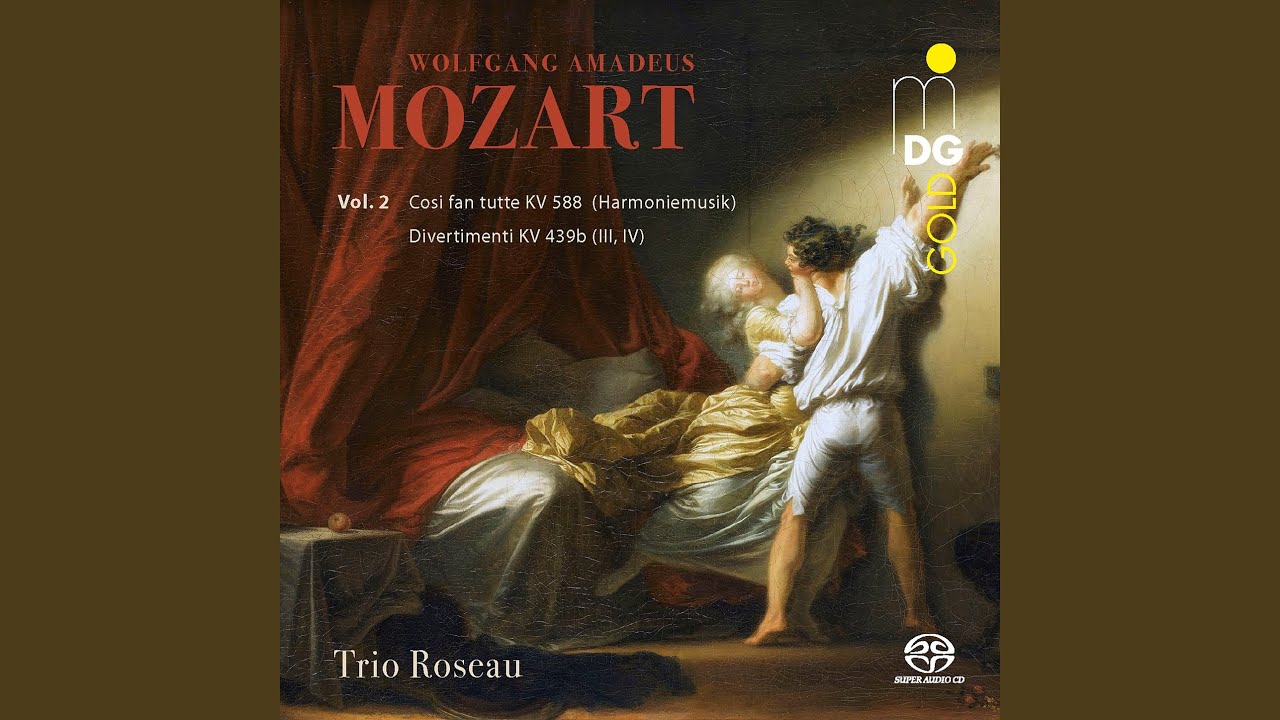 Divertimento No. 3, K. 439b: I. Allegro