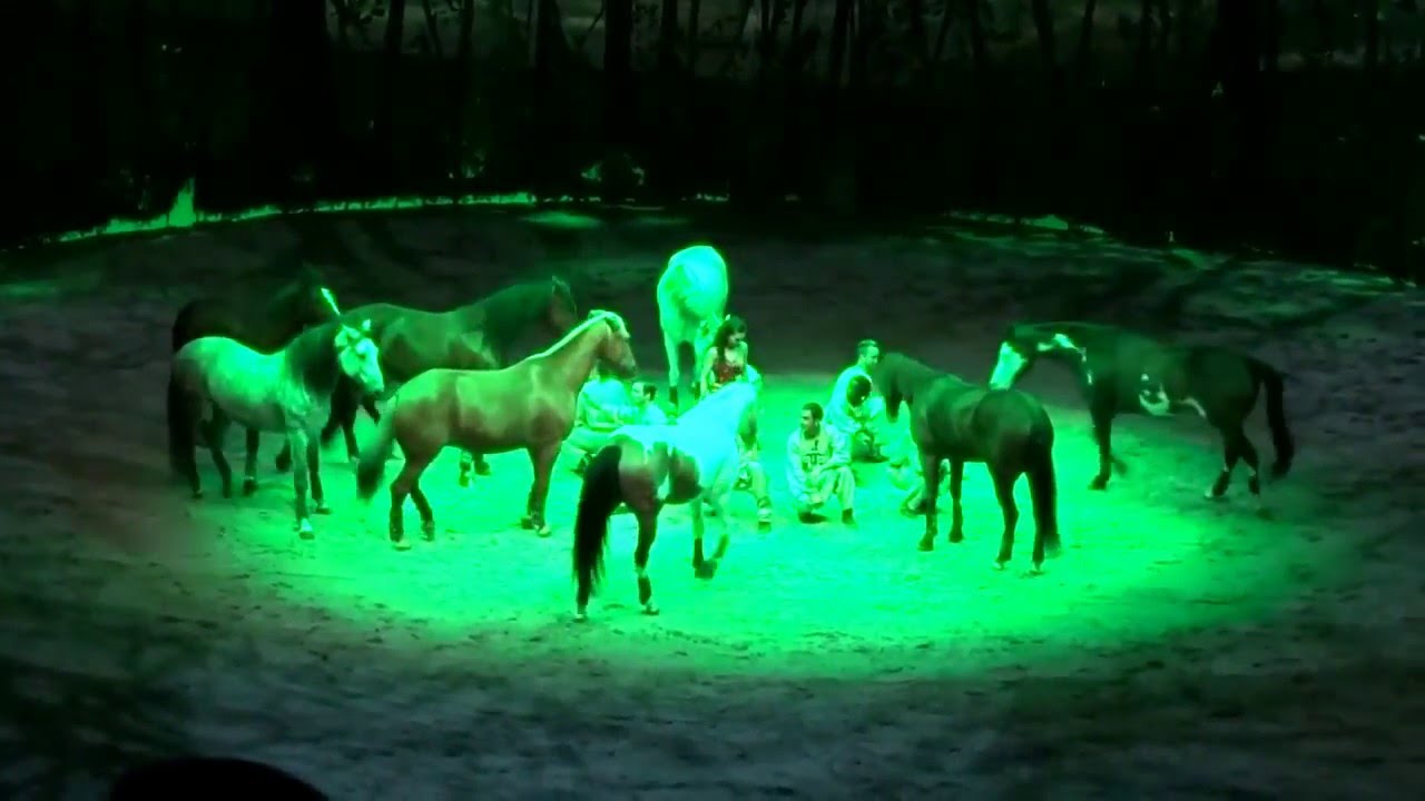 OdysseO Cavalia 17