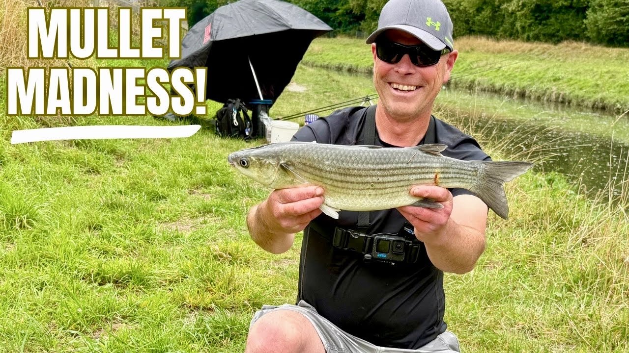 MULLET Fishing MADNESS River Plym Devon | I Almost Lost My ROD! 