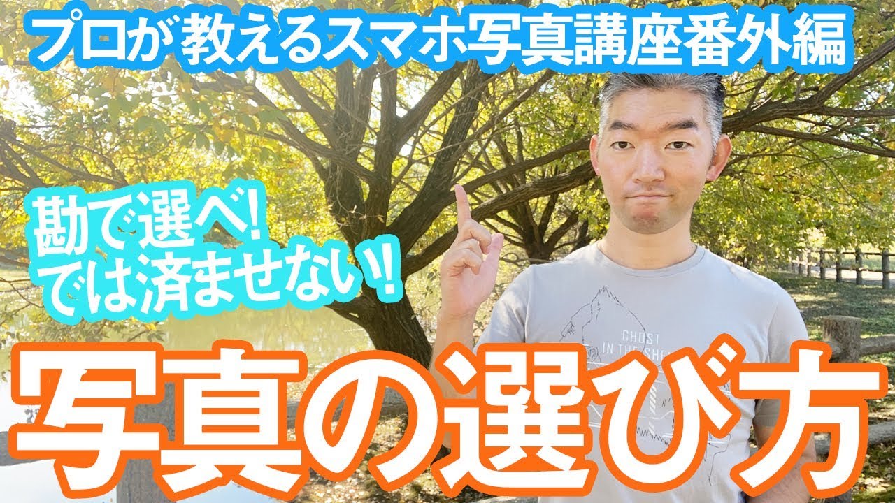 写真の選び方！目的に合わせたセレクト方法をプロが解説。心理学的な理由もあるよ！