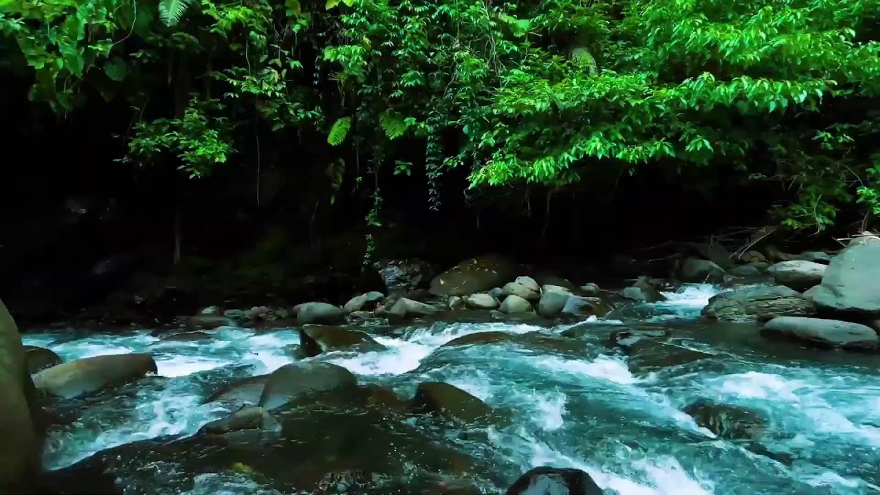 Dark Jungle River Flow &ndash; Deep Sleep Nature Sound with Rushing Water Sound