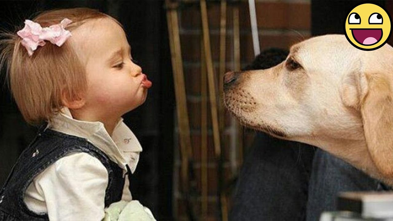 When Babies and Pets Become the Perfect Comedy Duo 🤣🐾❤️