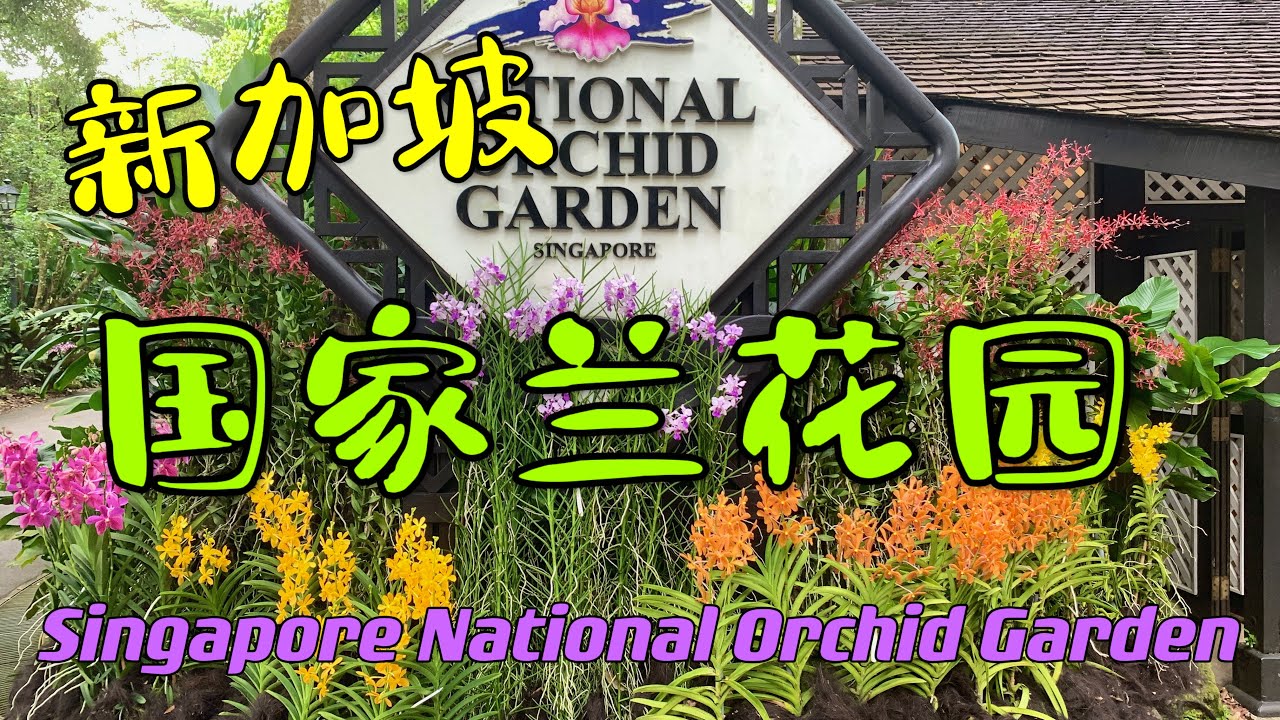 新加坡国家兰花园  212