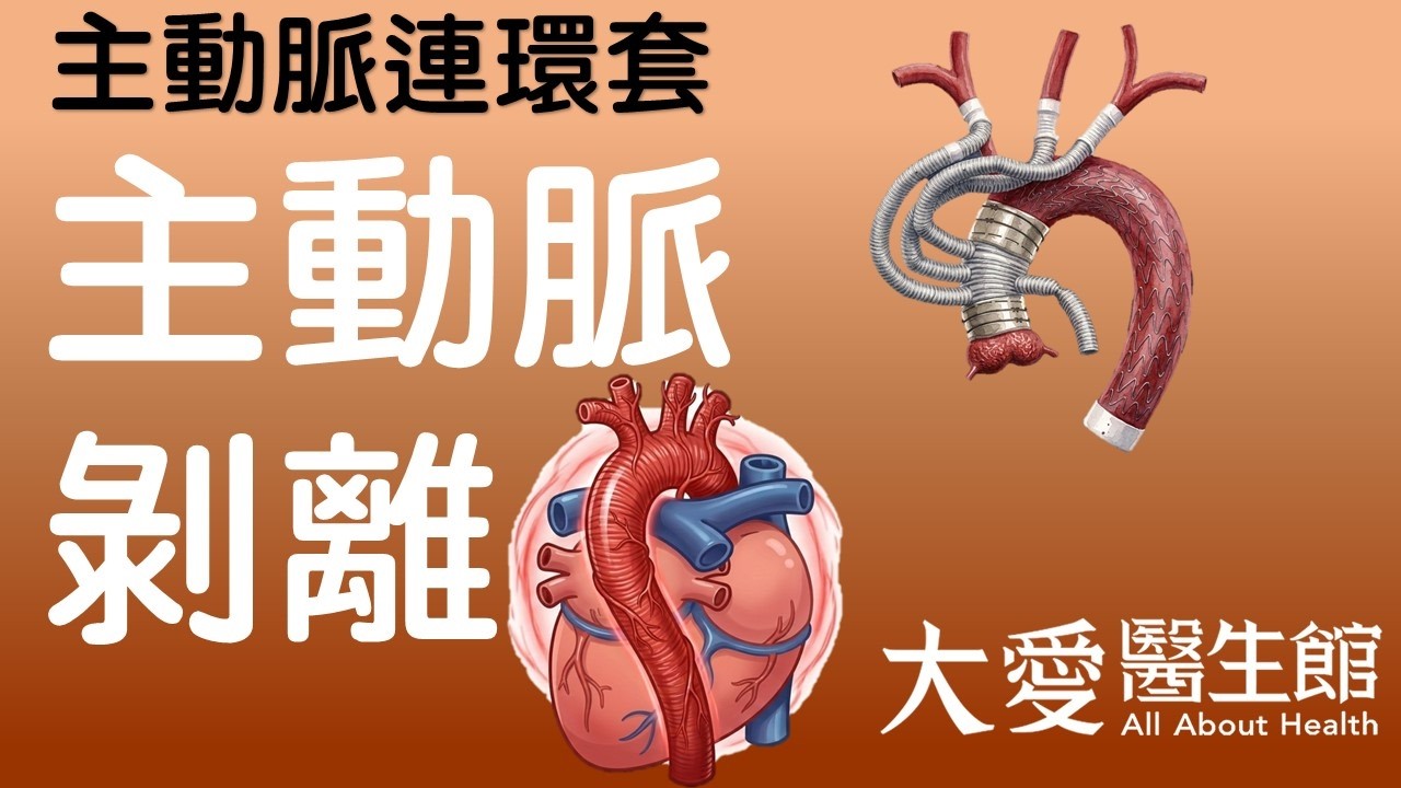 【大愛醫生館】 主動脈連環套 20260415