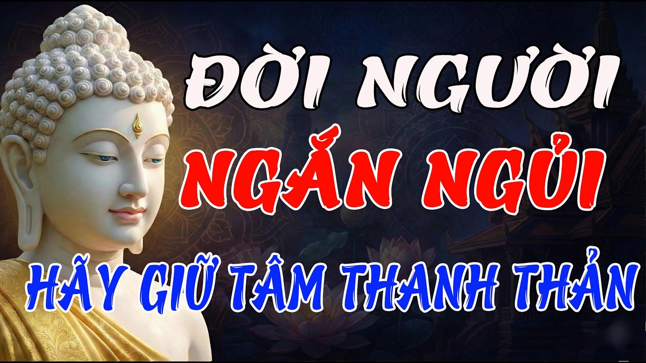 Trân Trọng Mỗi Phút Giây – Bài Học Từ Đức Phật Giúp Đời Bình Yên, Tâm Thảnh Thơi