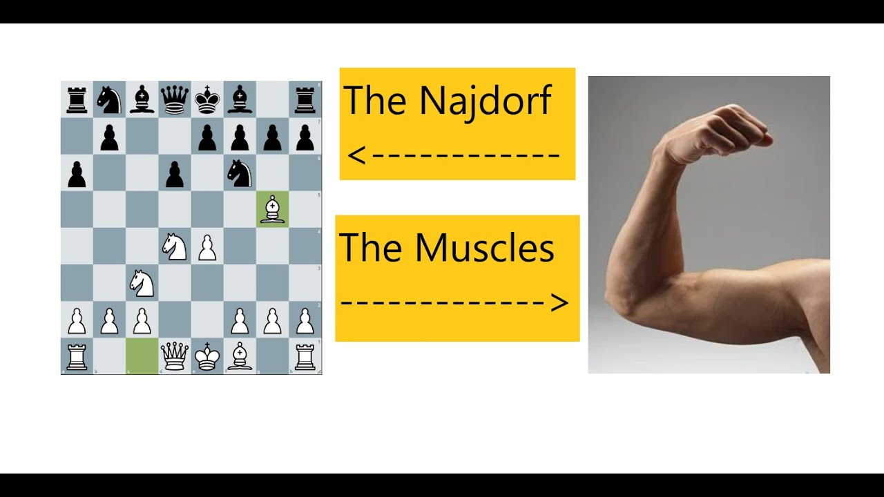 Build your Najdorf Muscles - Subscriber game analysis.