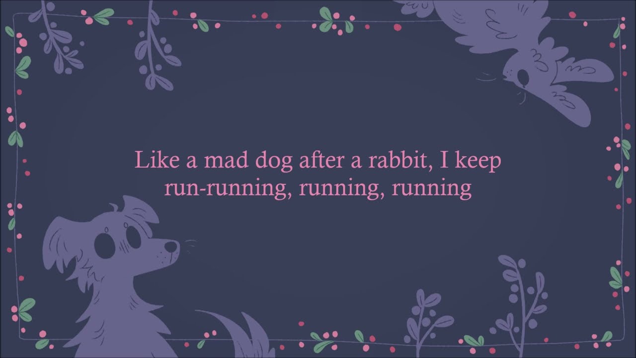 Mad Dog - The Crane Wives [Lyrics]