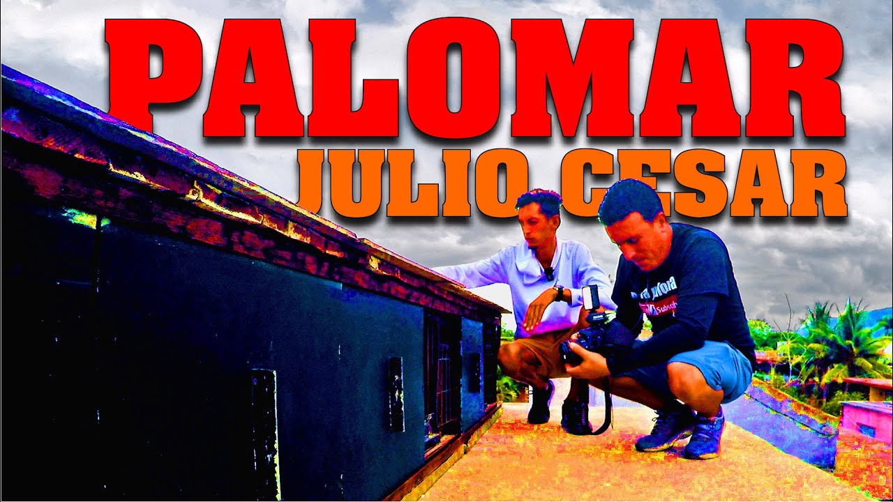 PALOMAR de CONQUISTA de JULIO CESAR. ISLA DE LA JUVENTUD