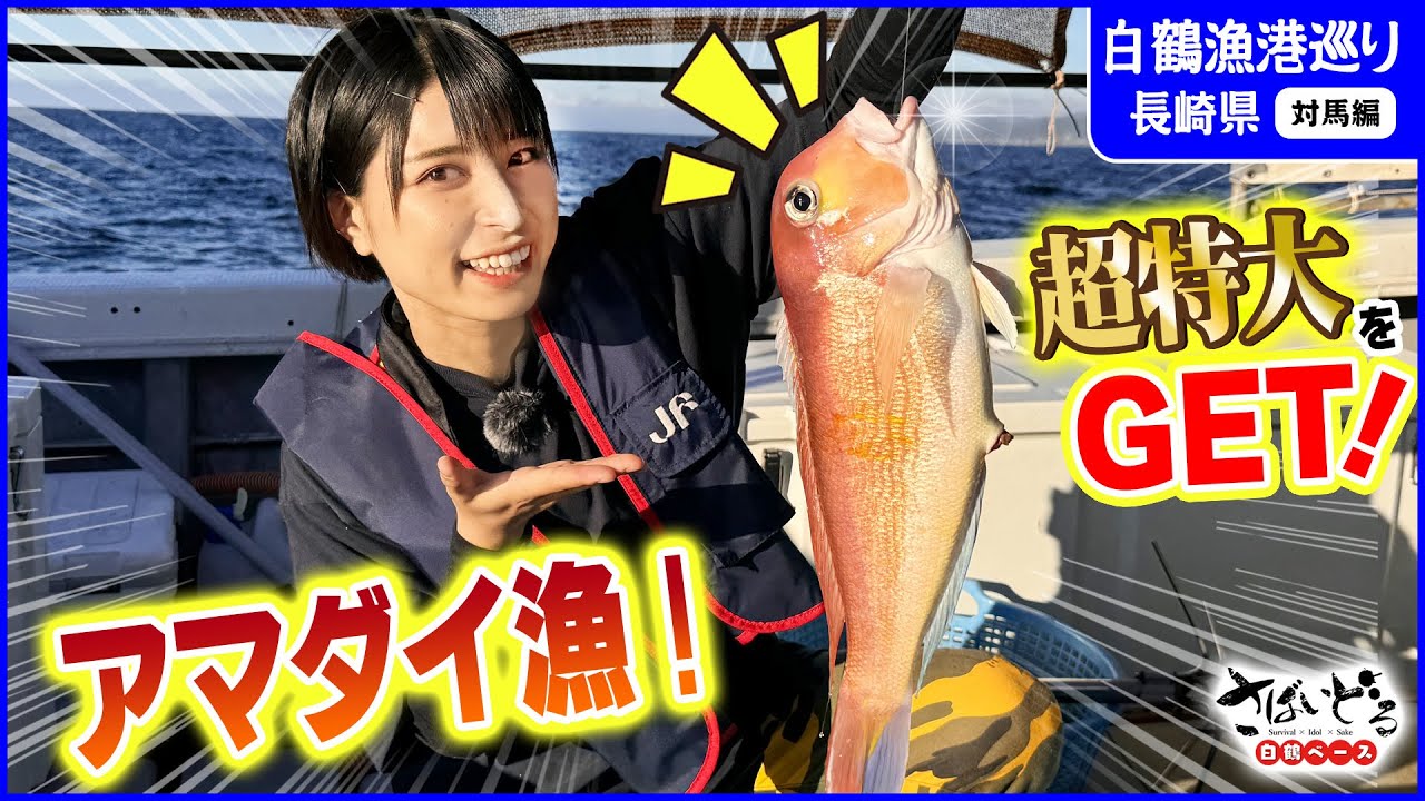 超特大Get！対馬でアマダイ漁！大漁の女神が本領発揮？！【白鶴漁港巡り 長崎対馬編】