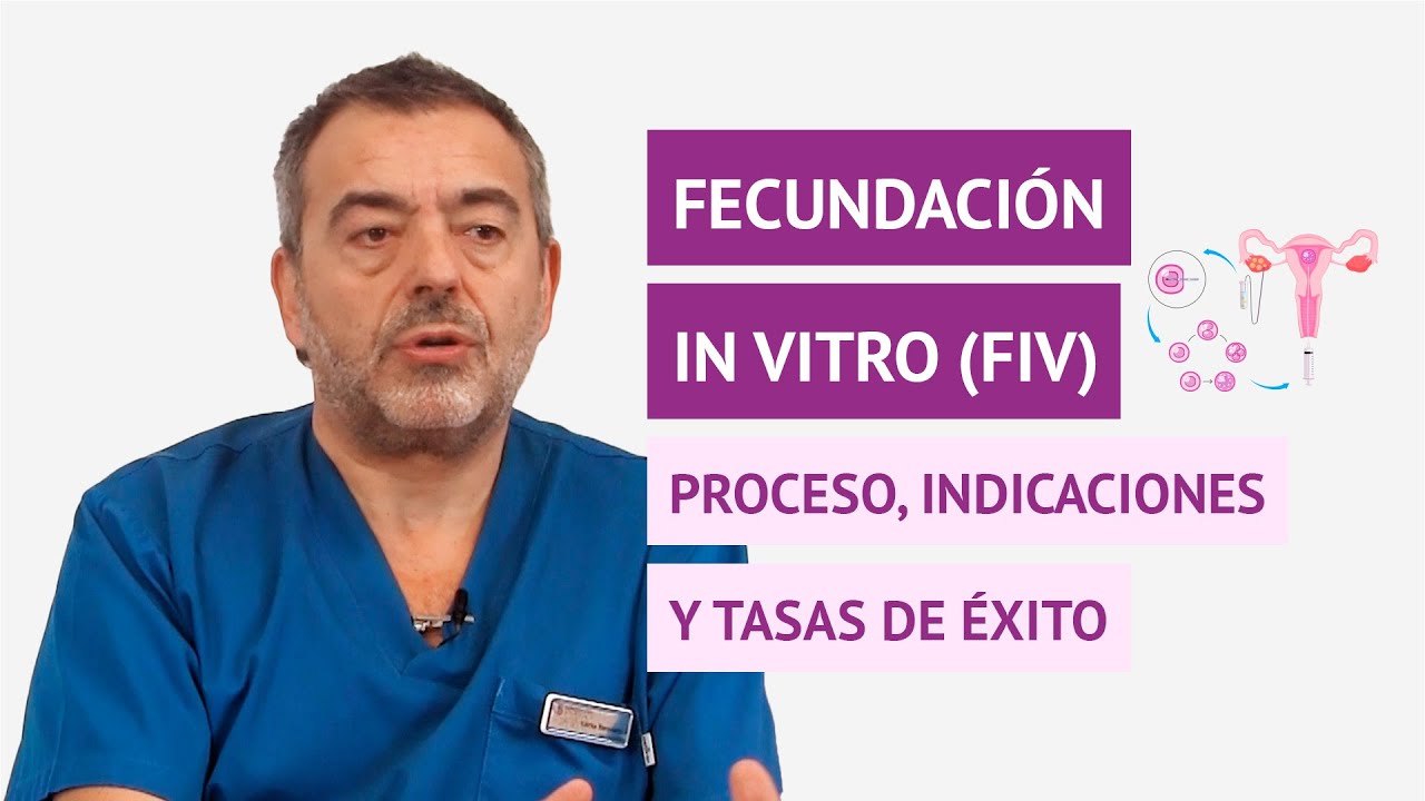 Fecundaci&oacute;n in vitro - Proceso, indicaciones y tasas de &eacute;xito