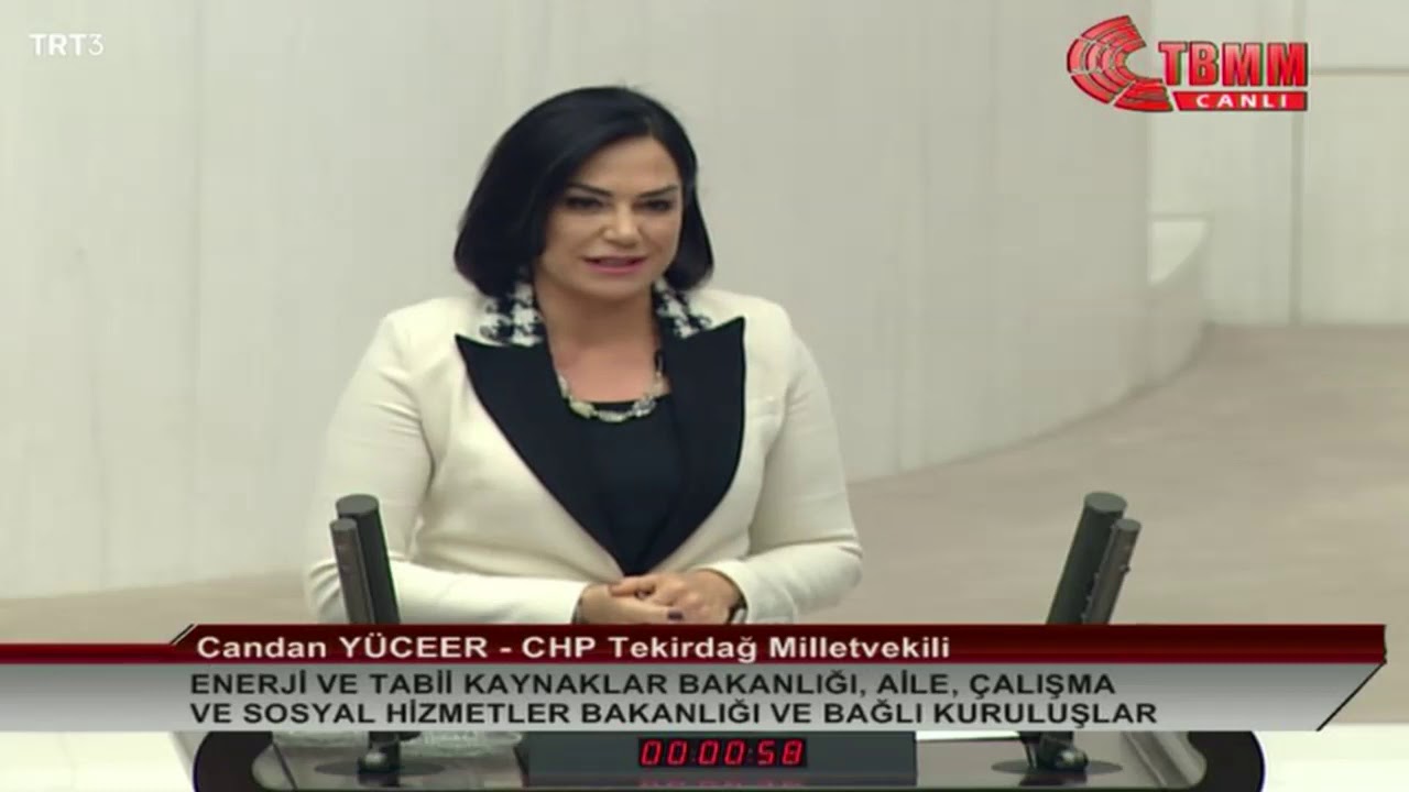 2020 YILI BÜTÇE GÖRÜŞMELERİ CANDAN YÜCEER   12/12/2019