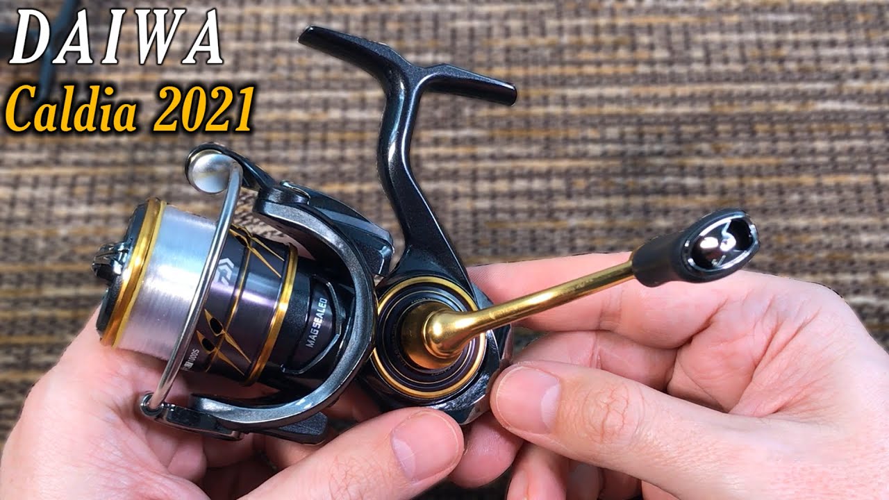 2021 DAIWA Caldia - short review