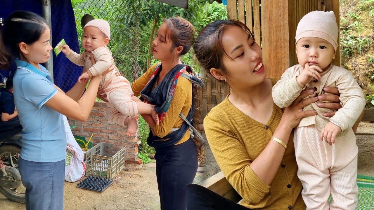 Take the baby abandoned by his mother to find his mother - pick Napa cabbage to sell |Chúc Thị Dương