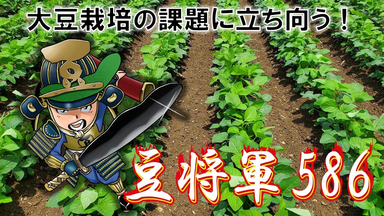 大豆専用肥料「豆将軍586」