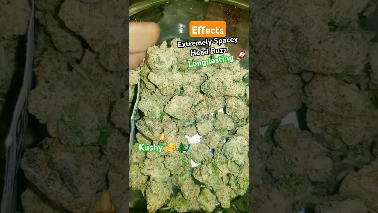 Jlitty's MAC Smalls THCa Review #indoor #Fire #THCa #Top5