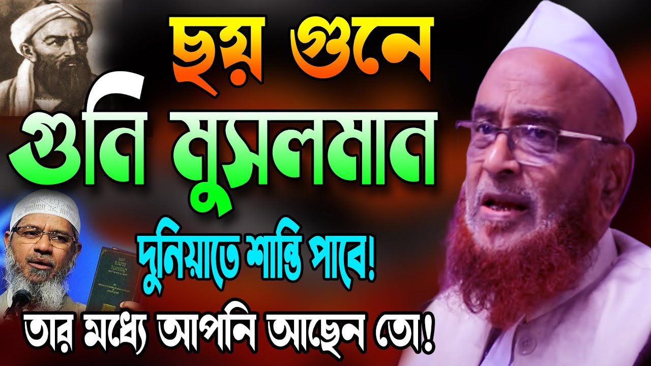 ছয় গুনে গুনি মুসলমান দুনিয়াতে শান্তি পাবে! Nurul islam olipuri New | নুরুল ইসলাম ওলিপুরী Olipuri Waz