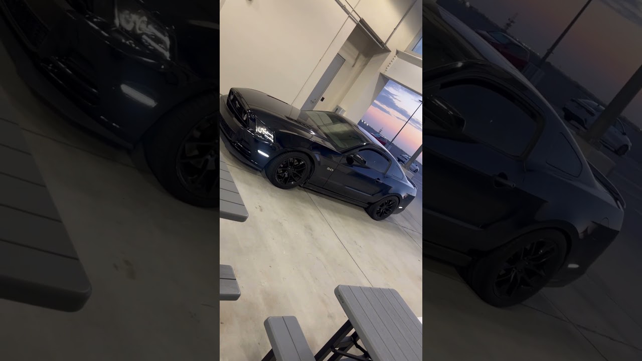 2014 Mustang GT Corsa Extreme #mustangs #fy #fypシ#ytshorts #clean #mustanggt #shorts #corsa#chevelle