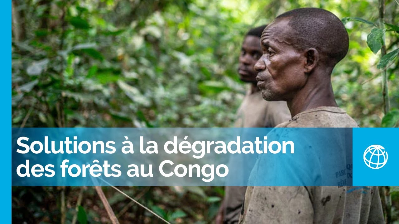 Solutions centrées sur les personnes à la dégradation des forêts en République démocratique du Congo