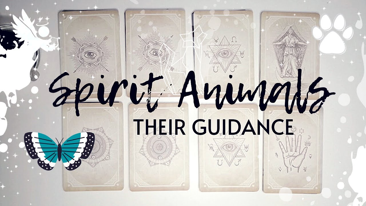 Your SPIRIT ANIMALS Tell You About Themselves: WHO THEY ARE? Their Messages | Channelled Pick A Card
